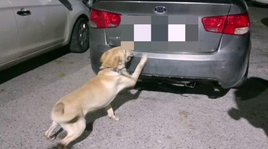 (&ouml;zel) İzmir Polisinden Zehir Sa&ccedil;anlara Rekor Operasyon