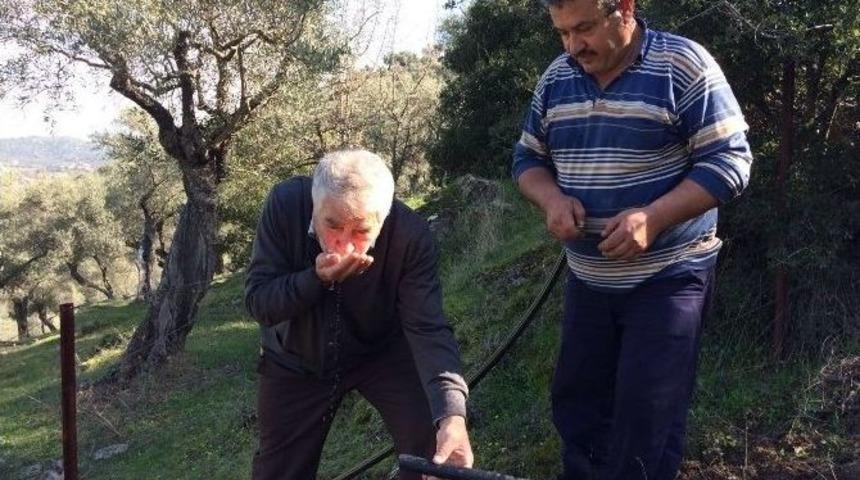 Ko&ccedil;arlı&rsquo;da Yarım Asırlık &Ccedil;ile Sona Erdi