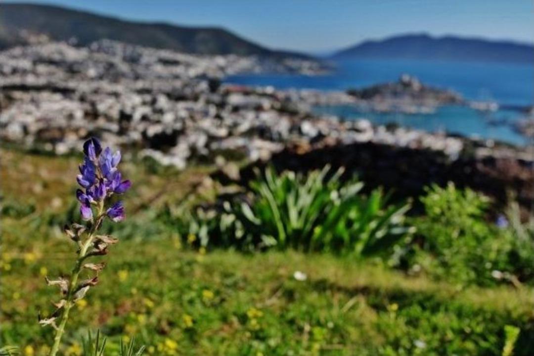 Bodrum&rsquo;da Doğa Ve Tarihi Buluşturan Tepe