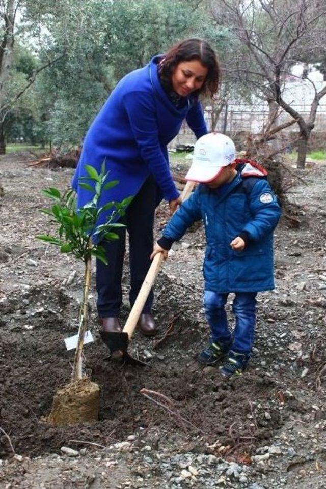 Anaokulu Öğrencileri Doğayı Korumak İçin Fidan Dikti