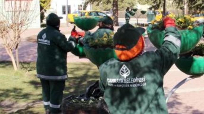 &Ccedil;ankaya&rsquo;ya Bahar Erken Geldi