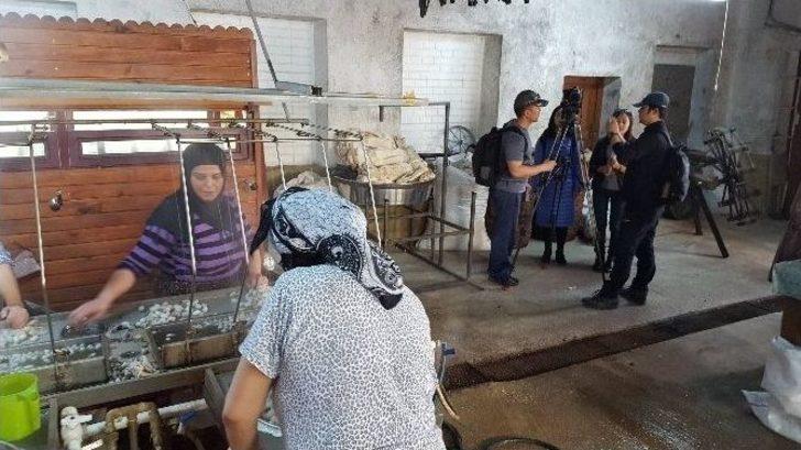 (özel Haber) Çinliler İpeğin Peşine Düştü G1