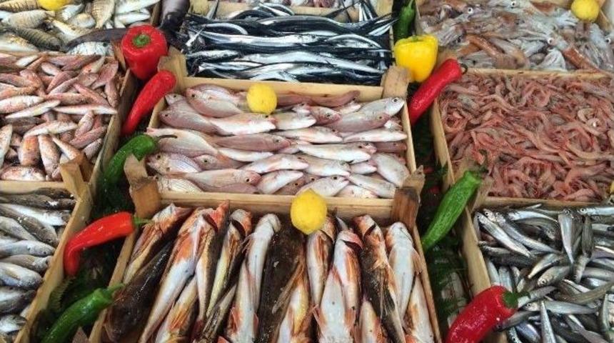 Ucuz Balık Seneye Kaldı