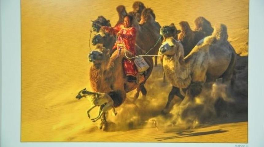 Kedi Sanat Merkezi&rsquo;nde Anlamlı Sergi