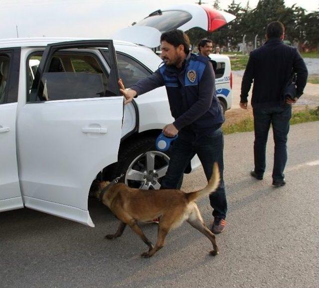 Narkotik Köpekleri Didim’de Görev Başında