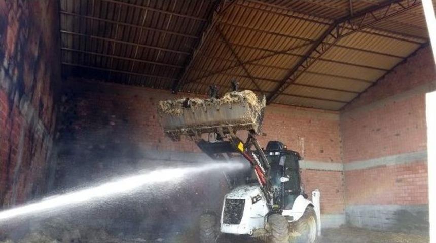 Tekirdağ&rsquo;da Bin Balya Saman K&uuml;l Oldu