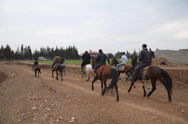 Türkoğlu’nda At Yarışları