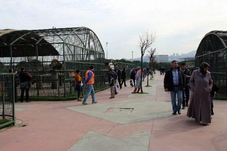 10 Yılda 2.5 Milyon Ziyaretçi G1