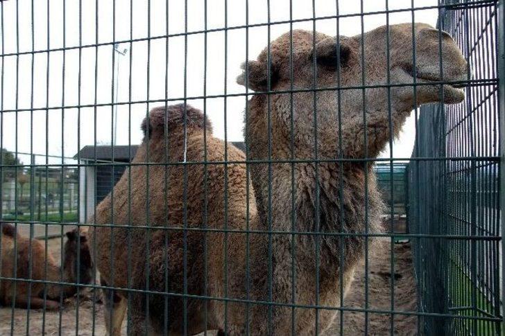 10 Yılda 2.5 Milyon Ziyaretçi G2