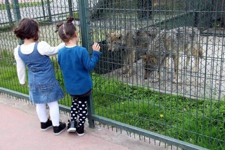 10 Yılda 2.5 Milyon Ziyaretçi G3