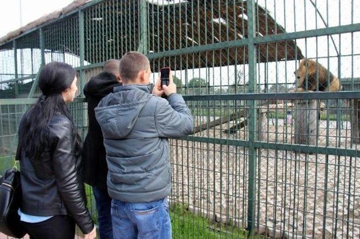 10 Yılda 2.5 Milyon Ziyaretçi G5