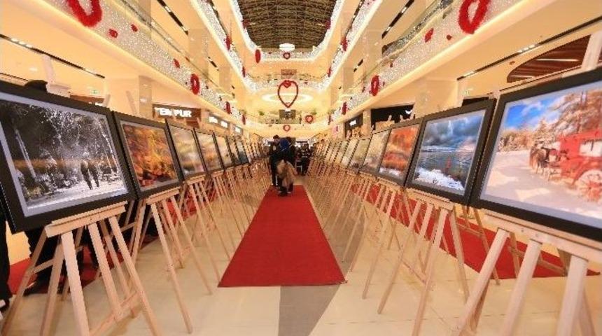 Adafad &Uuml;yeleri Tarafından Hazırlanan &rsquo;sonbahar Ve Kış&rsquo; Fotoğraf Sergisi A&ccedil;ıldı