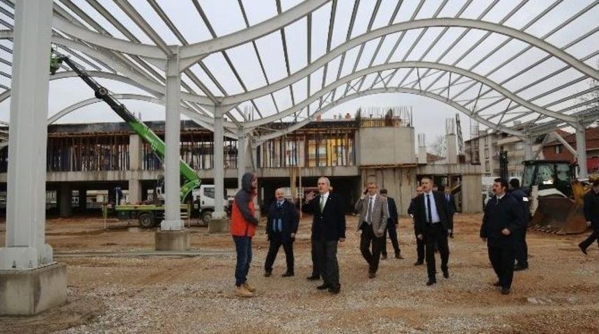 Merpa, Yenilenen Haliyle Yaza Hazır