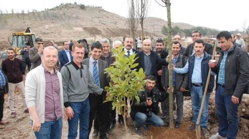 Gazetecilerin Dikili Ağacı Oldu