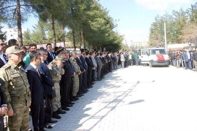 Nusaybin Şehidi Memleketine Uğurlandı