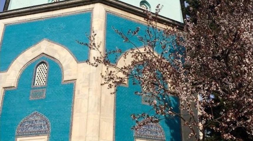 Bahar &Ccedil;i&ccedil;ekleri Fotoğraf Sanat&ccedil;ılarını Coşturdu