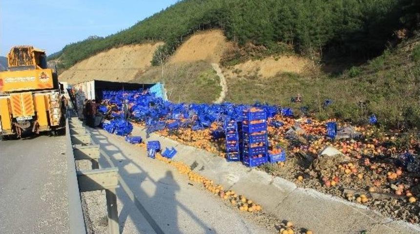 Osmaneli’de Meyve Yüklü Kamyon Devrildi