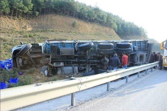 Osmaneli’de Meyve Yüklü Kamyon Devrildi