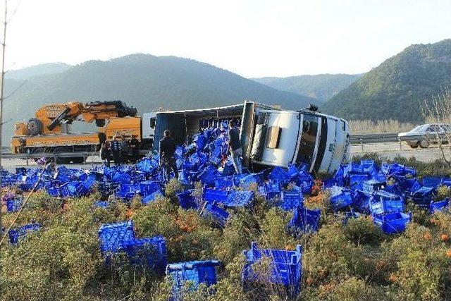 Osmaneli’de Meyve Yüklü Kamyon Devrildi