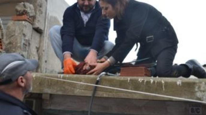 Kafesten Ka&ccedil;ak Papağanı İtfaiye Yakaladı