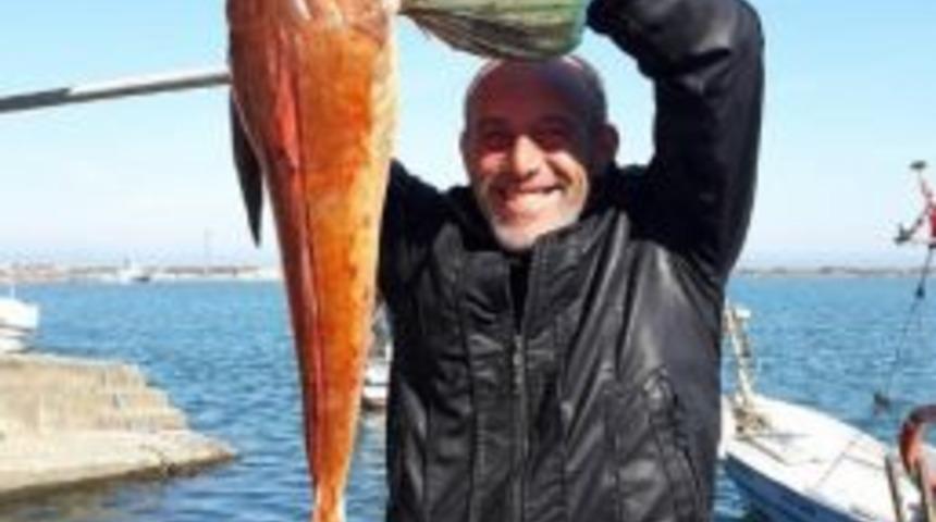 Dev "u&ccedil;ar Balığı" Fatsa&rsquo;da Ağlara Takıldı