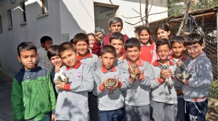 Bu İmam Başka İmam