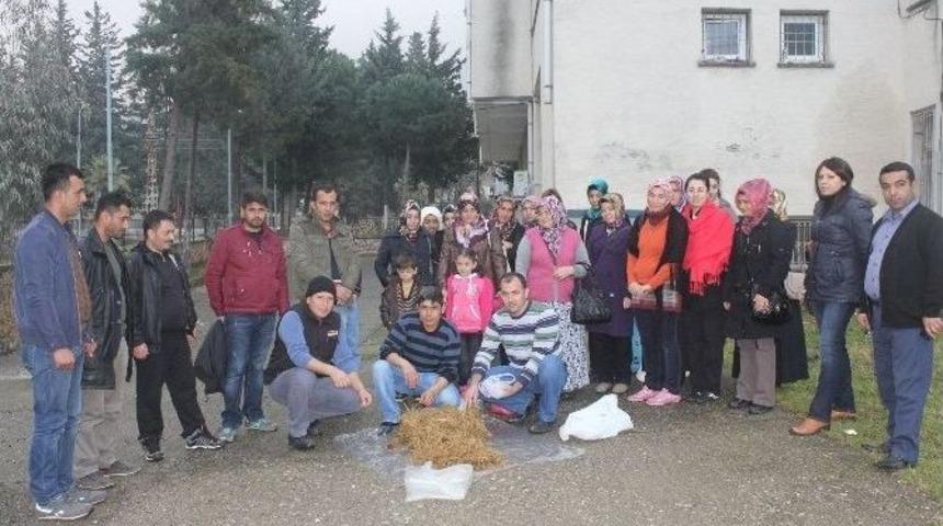 D&uuml;zi&ccedil;i&rsquo;de Mantar Yetiştiriciliği Kursu