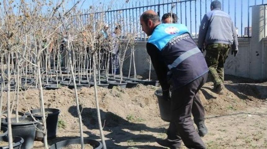 &Ccedil;olakbayrakdar; &ldquo;daha Yeşil Bir Kocasinan İ&ccedil;in &Ccedil;alışıyoruz&rdquo;