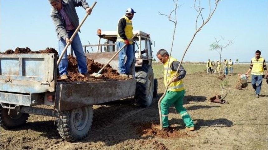 Akdeniz Belediyesi&rsquo;nden Yeni Mesire Alanı