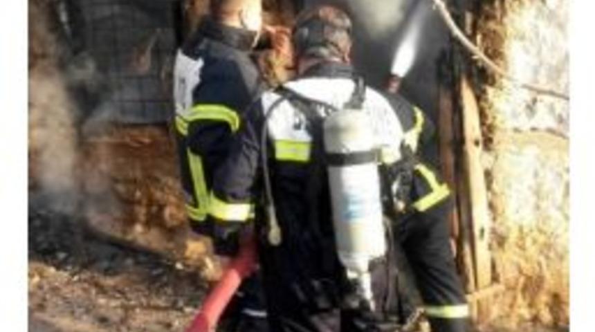 Adıyaman&rsquo;da Yangında Hayvanlar Telef Oldu