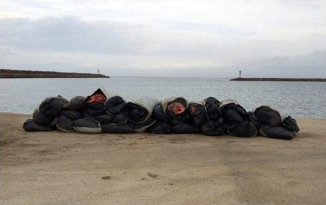 Lüks Lokantalara Satılmak İstenen Kaçak Etler Sahil Güvenliğe Takıldı