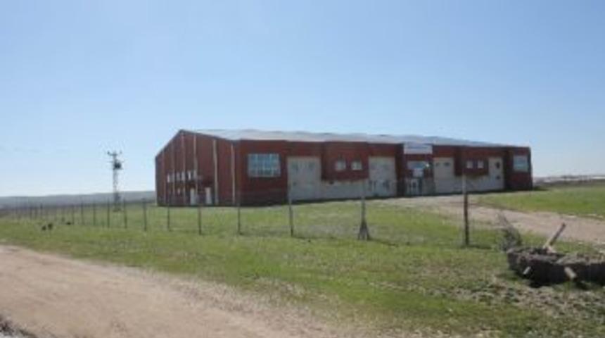 Sabıkalı Bek&ccedil;i, &Ccedil;obanı Pompalı T&uuml;fekle &Ouml;ld&uuml;rd&uuml;