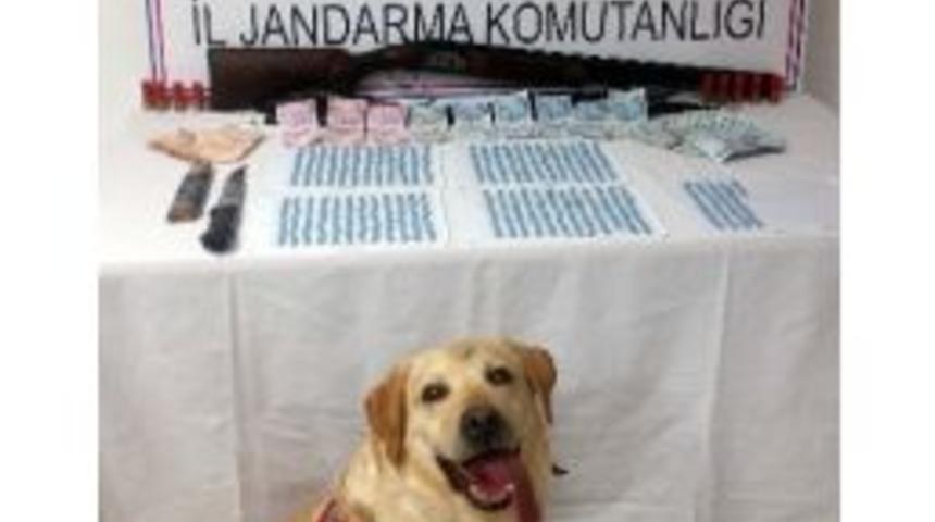 Jandarmadan Zehir Tacirlerine Y&ouml;nelik Operasyon