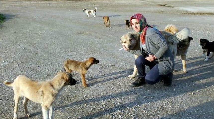 Hayatını Hayvanlara Adadı