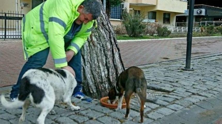 Gen&ccedil; İş Adamlarından &Ouml;rnek Davranış
