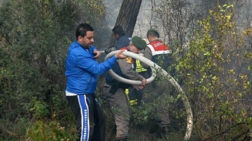 K&ouml;yceğiz&rsquo;de Orman Yangını