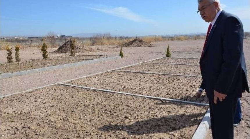 Nevşehir&rsquo;in İlk Lale Bah&ccedil;esi G&uuml;lşehir&rsquo;de Yapıldı