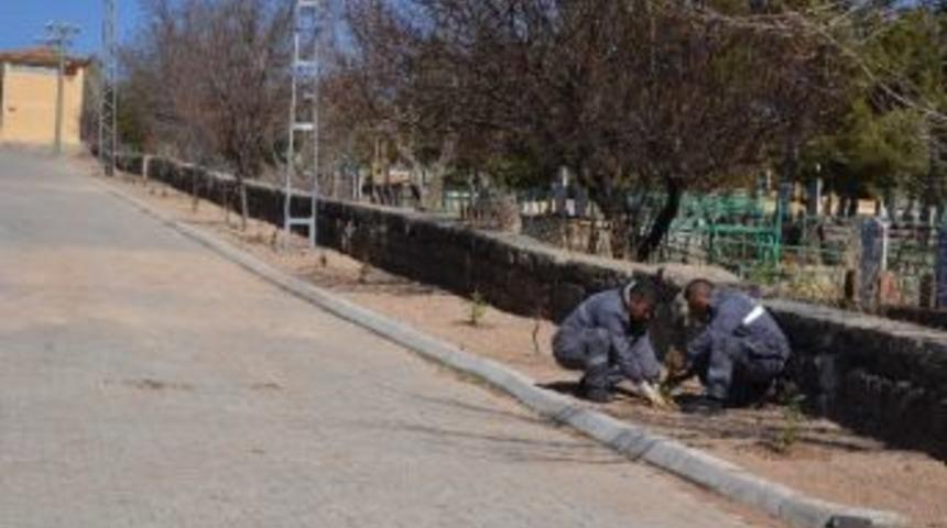 B&uuml;nyan Belediyesi&rsquo;nden Peyzaj Ve Yeşillendirme &Ccedil;alışması
