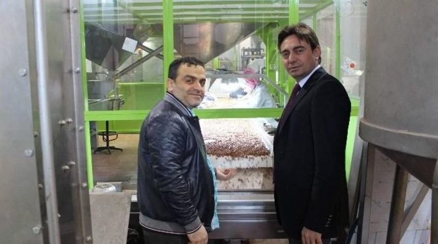 Tkdk&rsquo;dan Fındığa Destek