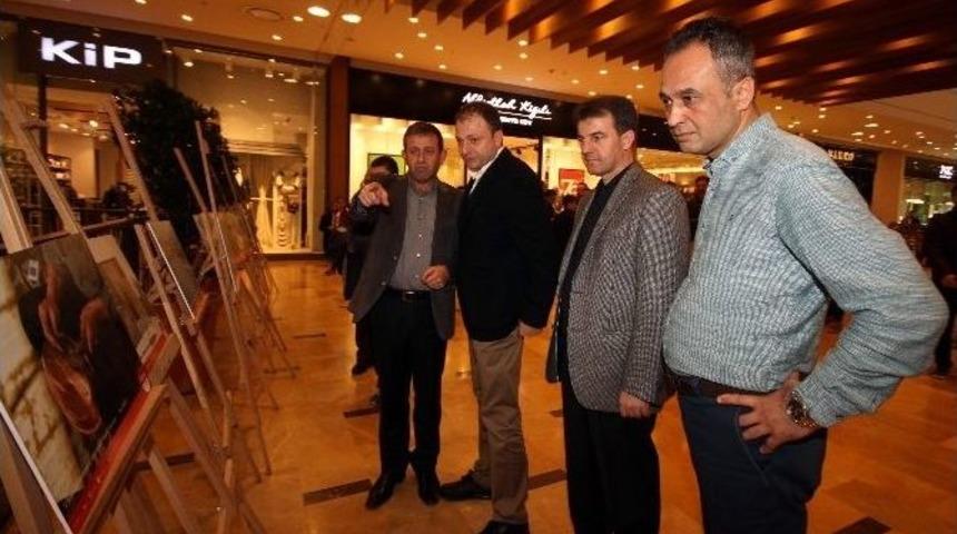 Piazza&rsquo;da 12 Şubat, 12 &Ouml;zel Fotoğraf İle Canlandı