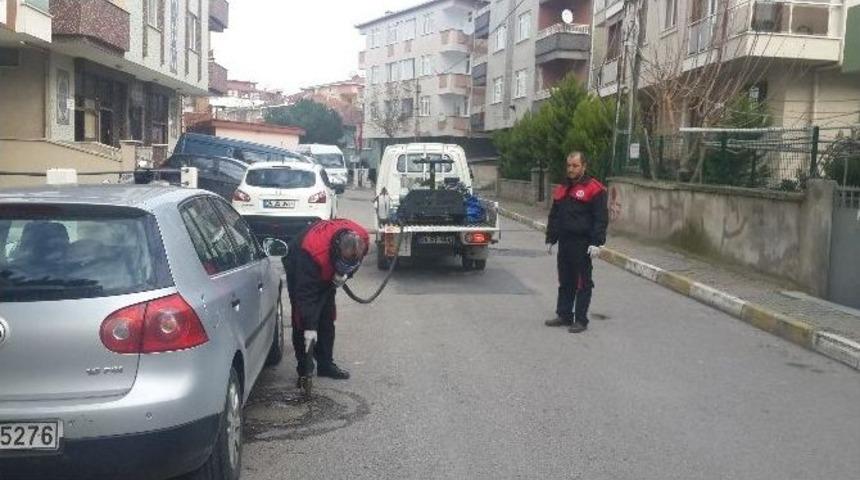 Maltepe&rsquo;de "kent Zararlılarıyla " M&uuml;cadele Başladı