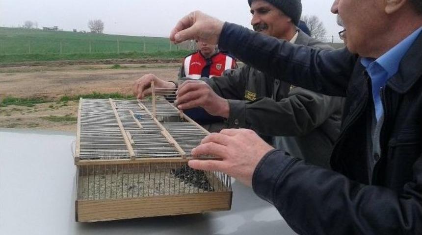 Yasak Avcılığa Jandarma Engeli