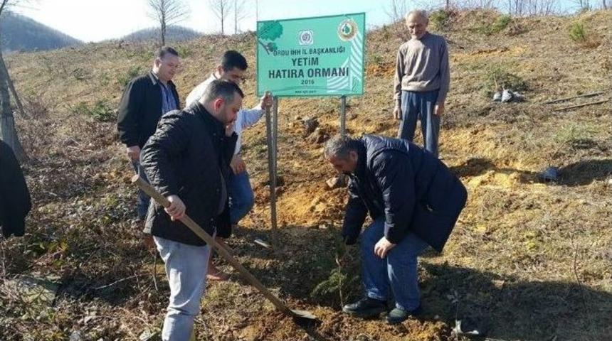 İhh&rsquo;dan Fatsa&rsquo;ya &lsquo;yetim Hatıra Ormanı&rsquo;