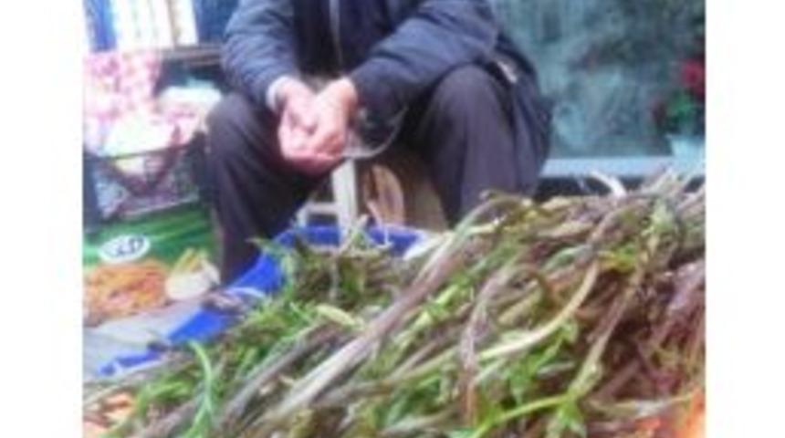 Sarmaşık &Ouml;demiş Pazarında Boy G&ouml;sterdi