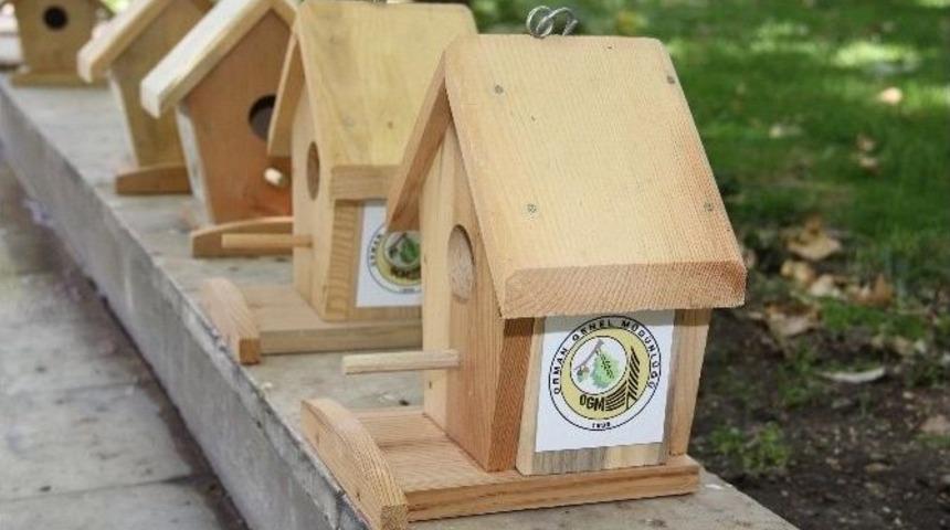 Orman Ve Su İşleri Bakanlığı Yuvasız Kuş Bırakmıyor