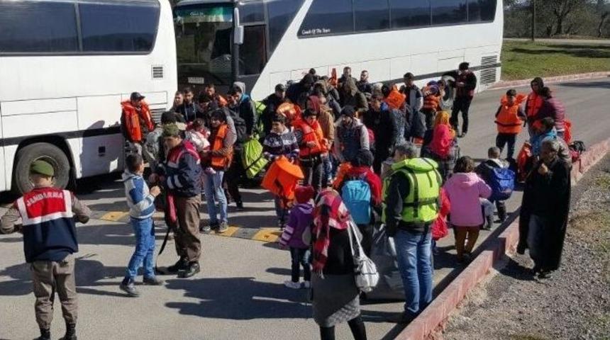 K&uuml;balı M&uuml;lteciler