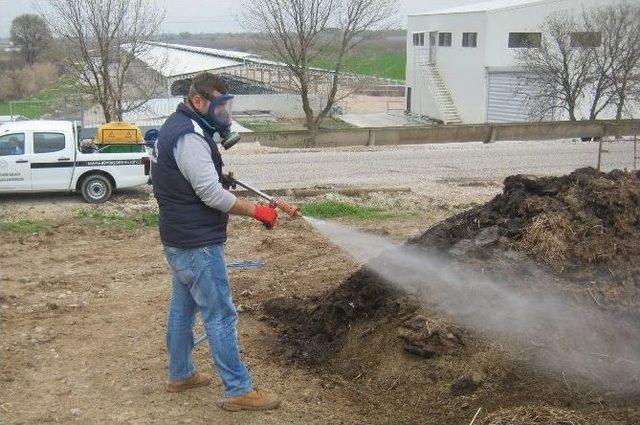 Manisa’da Haşere İle Mücadele Sürüyor 1