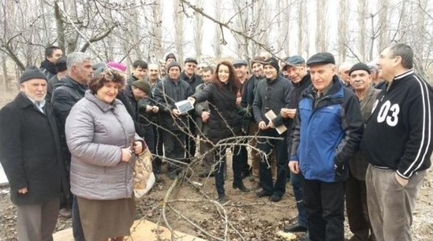Eskişehir&rsquo;de Meyve Ağa&ccedil;larını Budama Kursu A&ccedil;ıldı