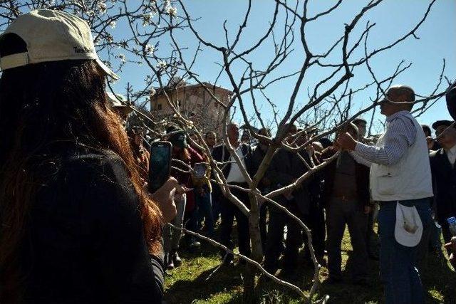 Fıstık Bahçesinde Uygulamalı Eğitim