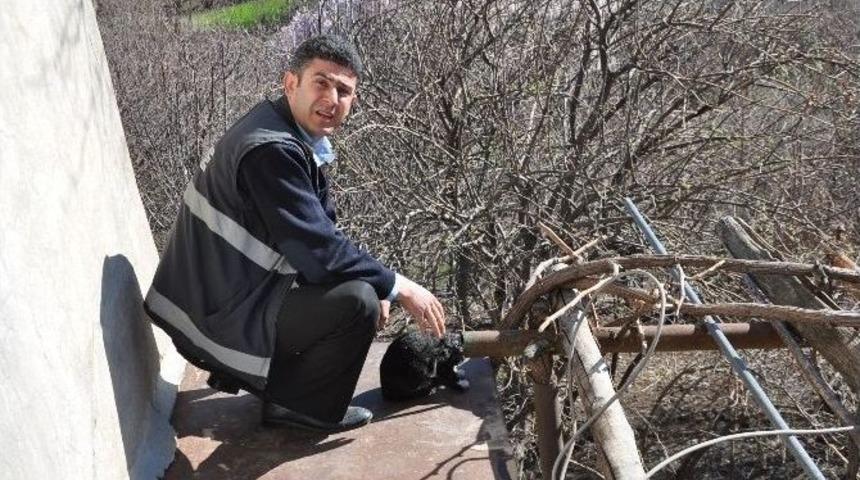 Kafasını Boruya Sıkıştıran Kediyi İtfaiye Kurtardı